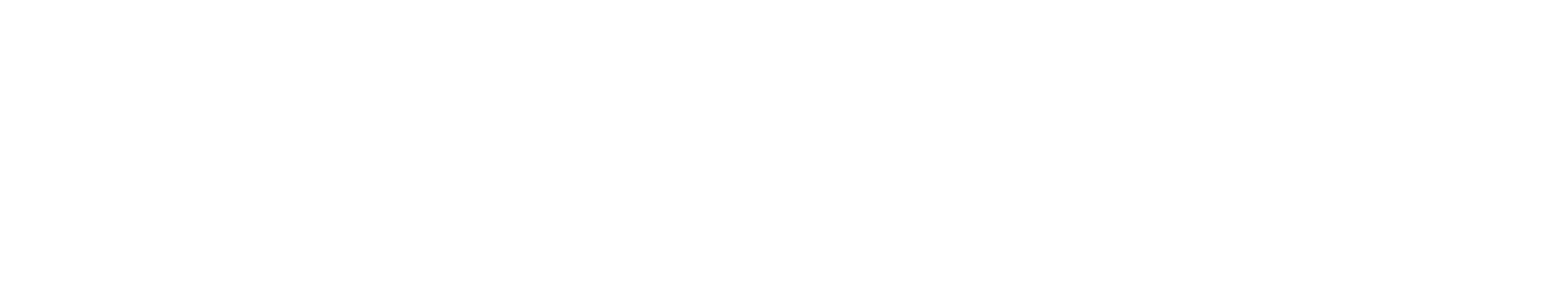 Bluenotes Global 2021 VX logo